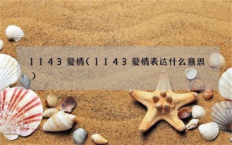 1143爱情(1143爱情表达什么意思)