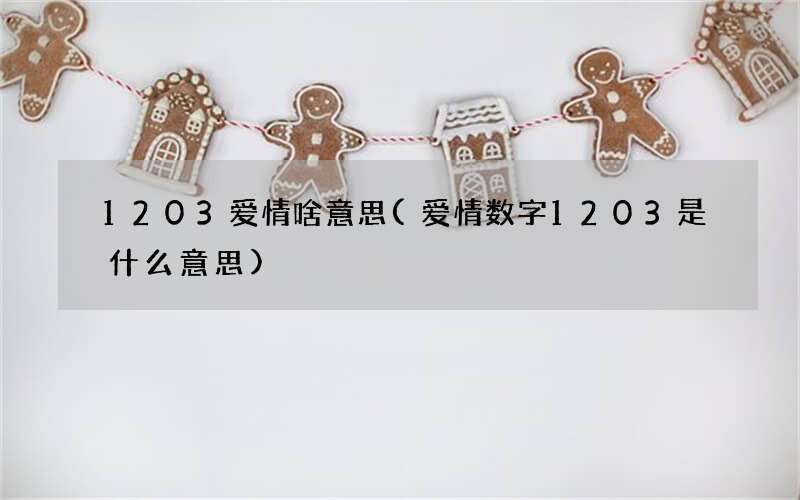 1203爱情啥意思(爱情数字1203是什么意思)