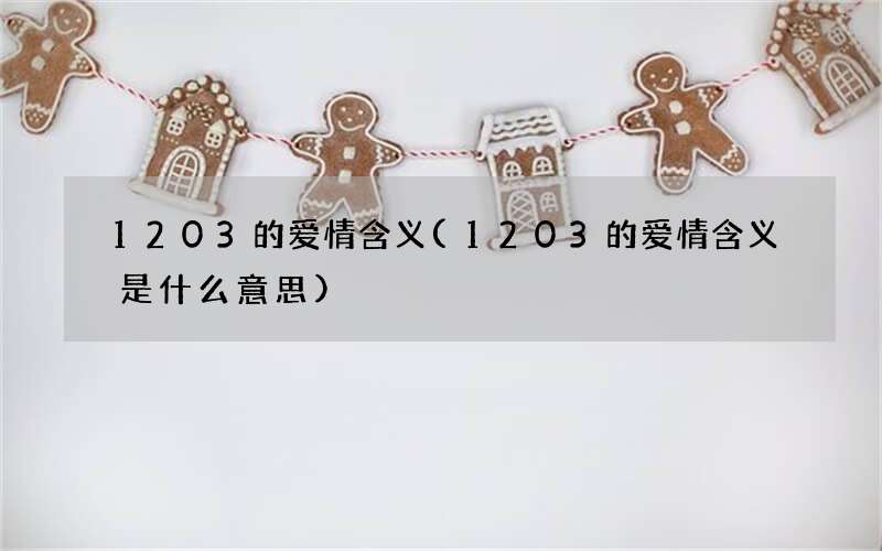 1203的爱情含义(1203的爱情含义是什么意思)