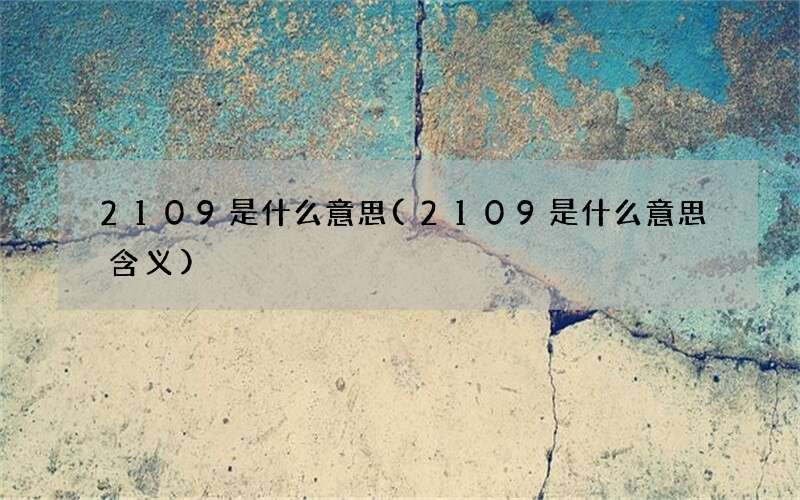 2109是什么意思(2109是什么意思含义)