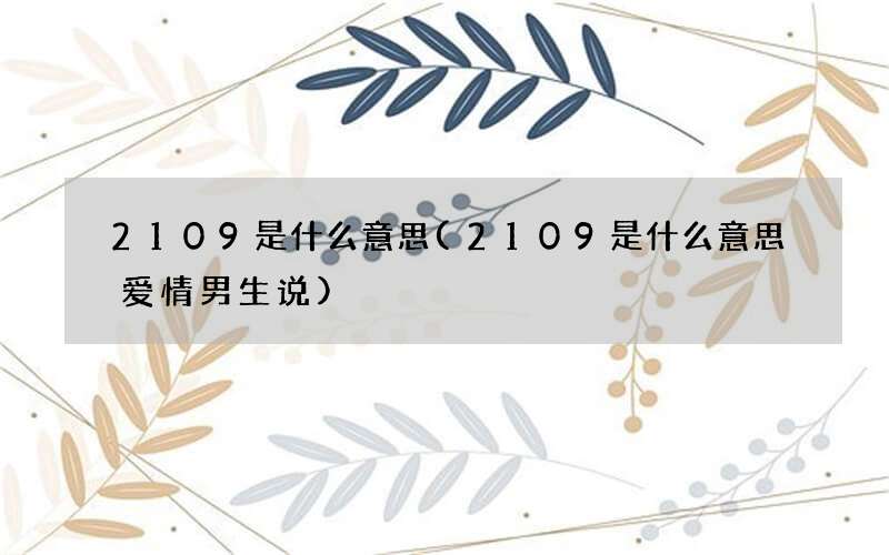 2109是什么意思(2109是什么意思爱情男生说)