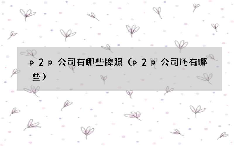 p2p公司有哪些牌照（p2p公司还有哪些）