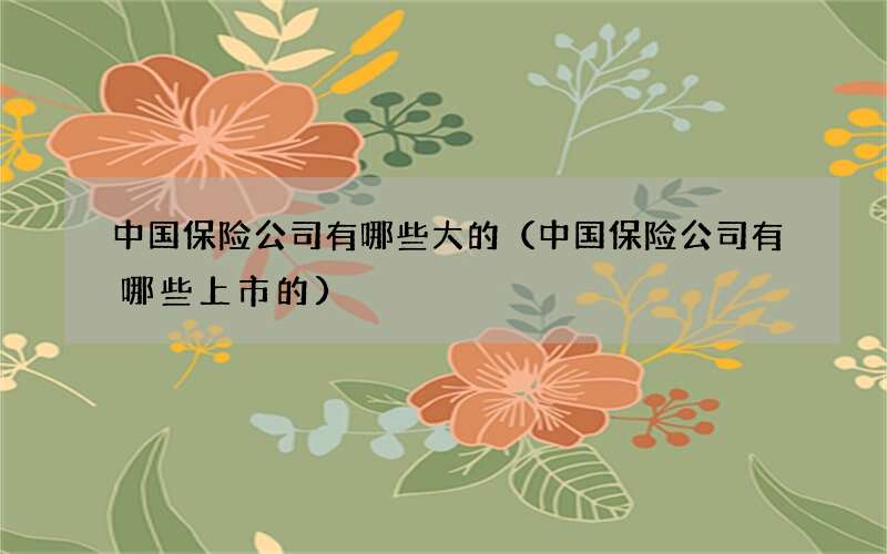 中国保险公司有哪些大的（中国保险公司有哪些上市的）