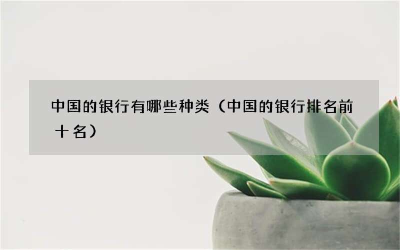 中国的银行有哪些种类（中国的银行排名前十名）