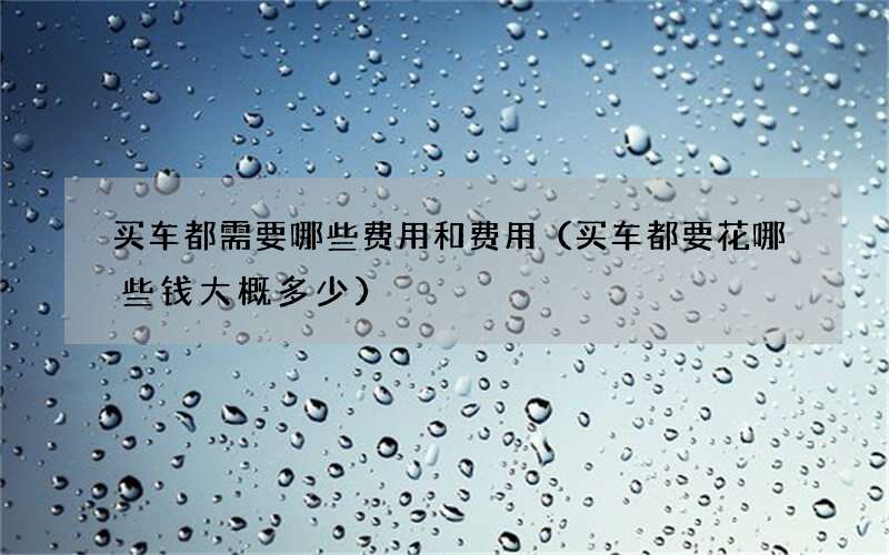 买车都需要哪些费用和费用（买车都要花哪些钱大概多少）