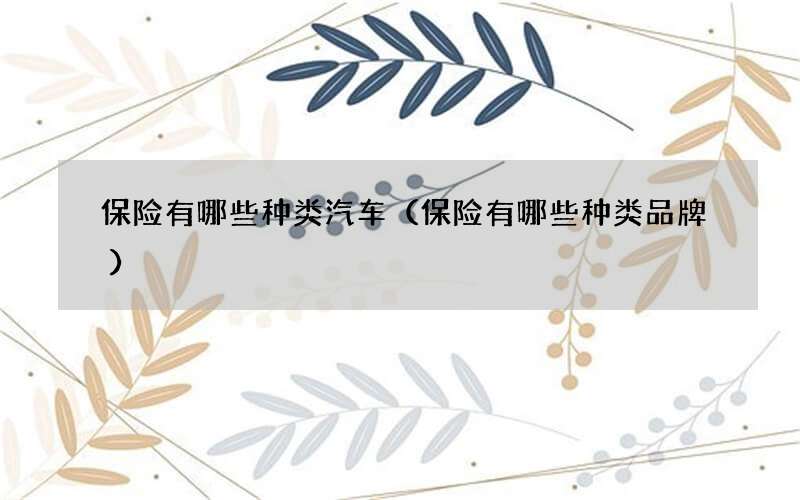保险有哪些种类汽车（保险有哪些种类品牌）