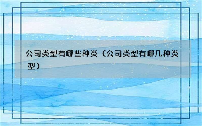 公司类型有哪些种类（公司类型有哪几种类型）