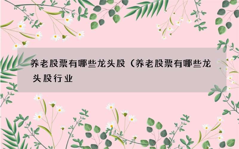养老股票有哪些龙头股（养老股票有哪些龙头股行业