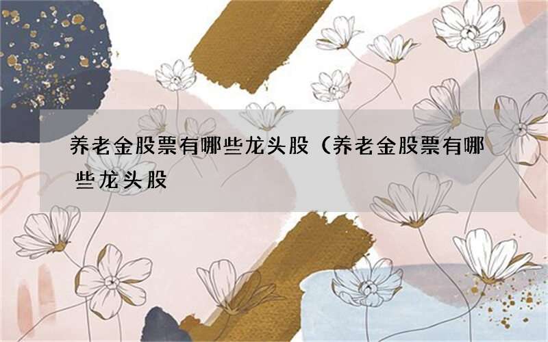 养老金股票有哪些龙头股（养老金股票有哪些龙头股