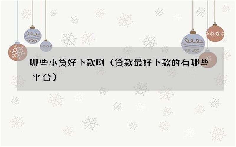 哪些小贷好下款啊（贷款最好下款的有哪些平台）