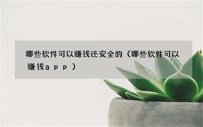 哪些软件可以赚钱还安全的（哪些软件可以赚钱app）