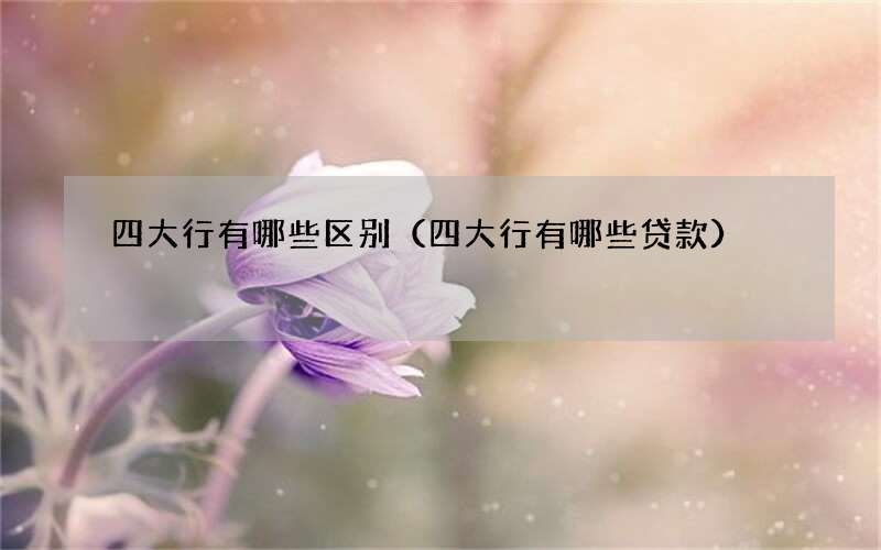 四大行有哪些区别（四大行有哪些贷款）