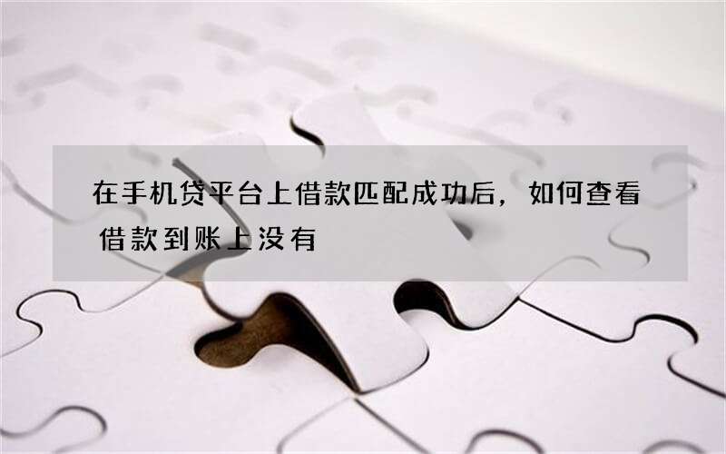 在手机贷平台上借款匹配成功后，如何查看借款到账上没有