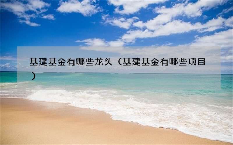 基建基金有哪些龙头（基建基金有哪些项目）