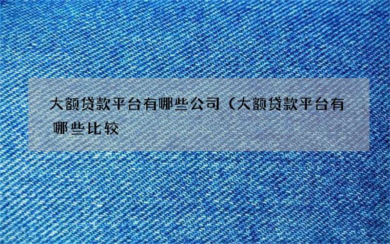 大额贷款平台有哪些公司（大额贷款平台有哪些比较