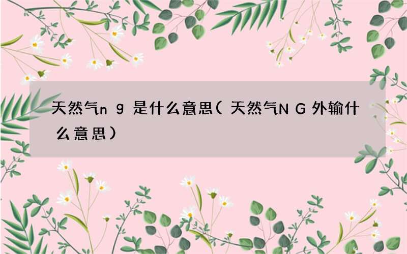 天然气ng是什么意思(天然气NG外输什么意思)