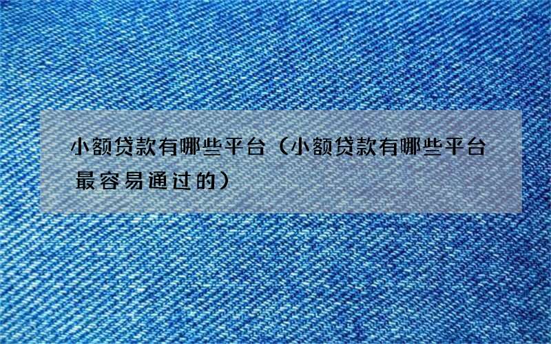 小额贷款有哪些平台（小额贷款有哪些平台最容易通过的）