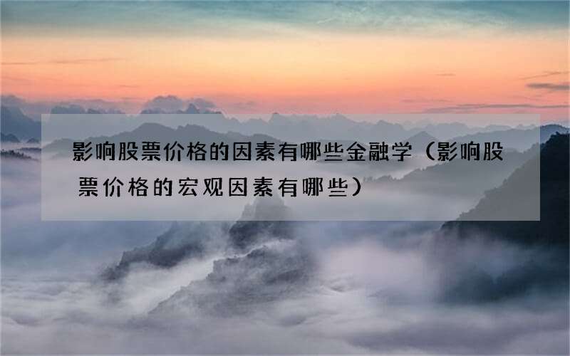 影响股票价格的因素有哪些金融学（影响股票价格的宏观因素有哪些）