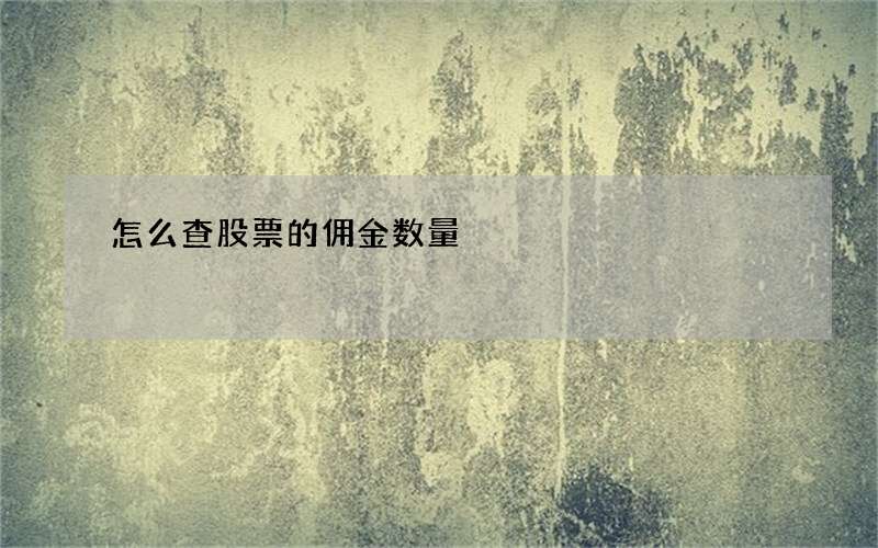 怎么查股票的佣金数量