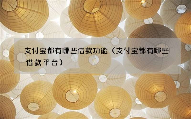 支付宝都有哪些借款功能（支付宝都有哪些借款平台）