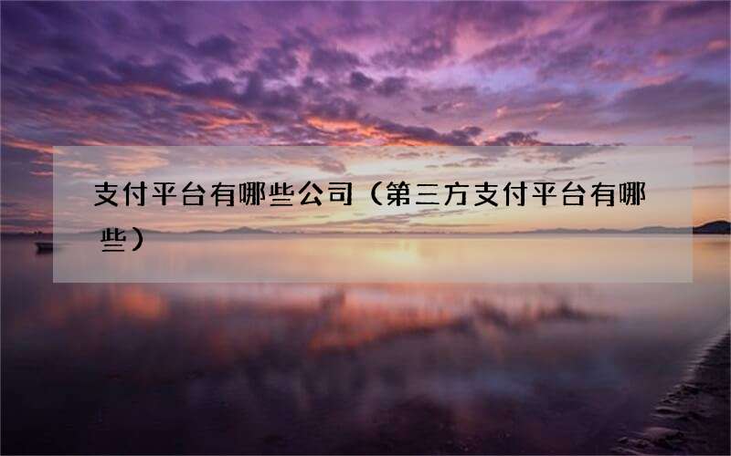 支付平台有哪些公司（第三方支付平台有哪些）