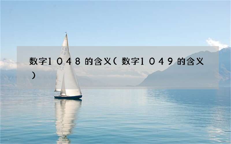 数字1048的含义(数字1049的含义)