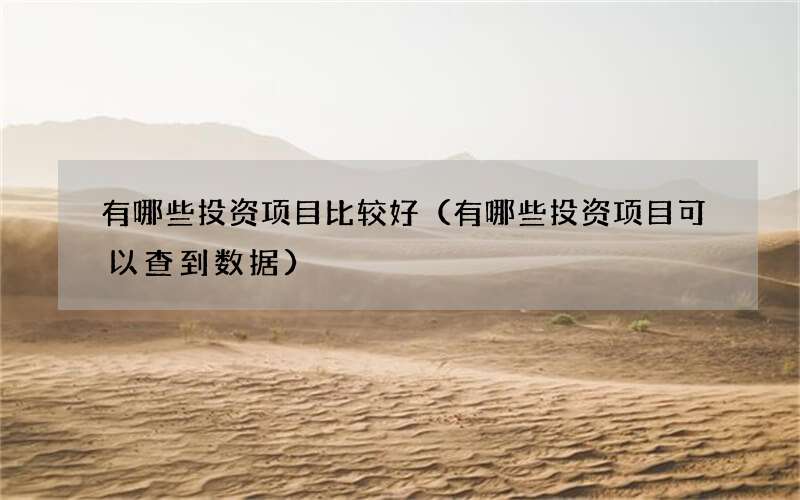 有哪些投资项目比较好（有哪些投资项目可以查到数据）