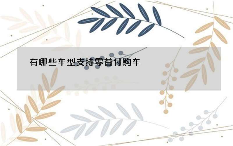 有哪些车型支持零首付购车