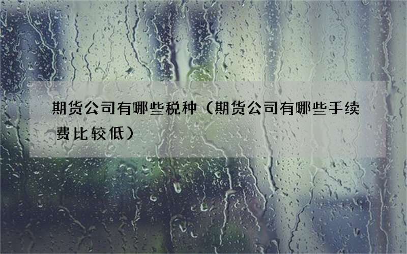 期货公司有哪些税种（期货公司有哪些手续费比较低）