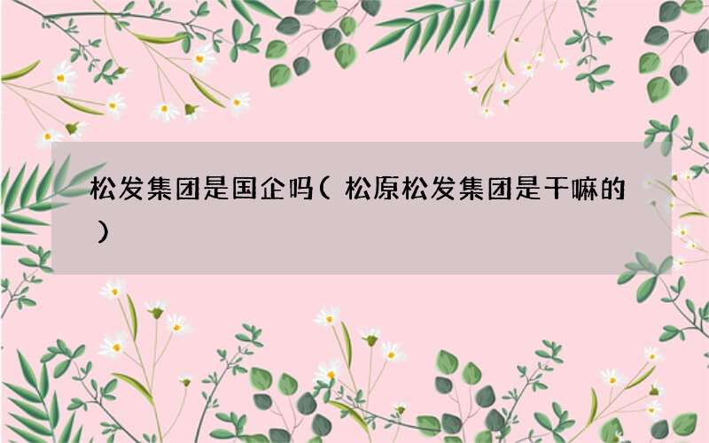 松发集团是国企吗(松原松发集团是干嘛的)