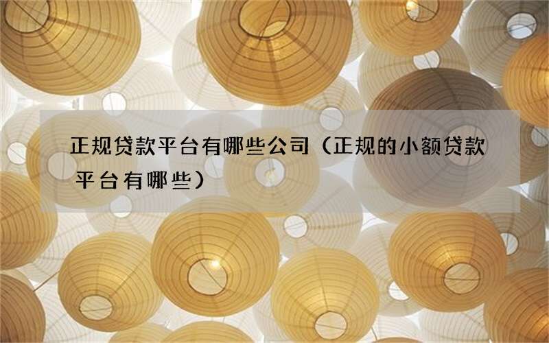 正规贷款平台有哪些公司（正规的小额贷款平台有哪些）