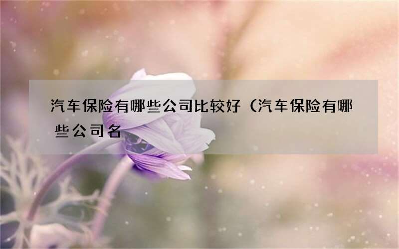 汽车保险有哪些公司比较好（汽车保险有哪些公司名