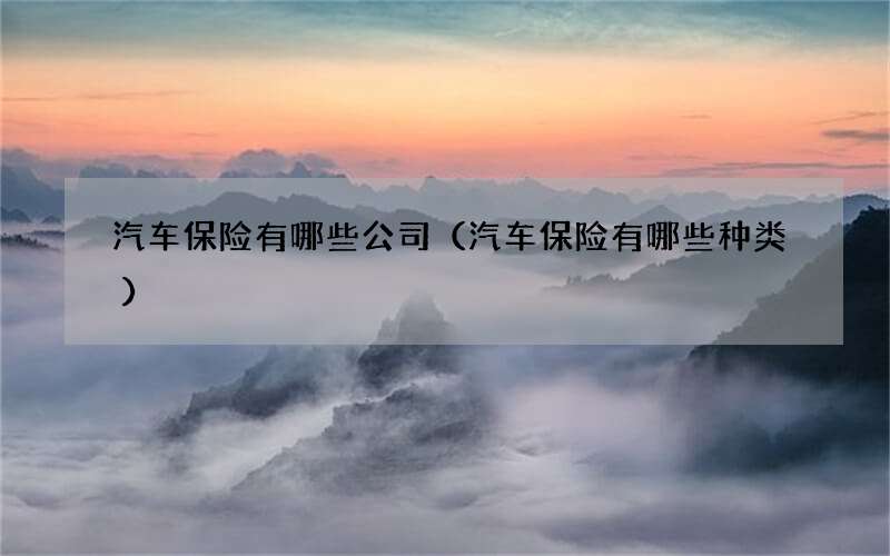 汽车保险有哪些公司（汽车保险有哪些种类）