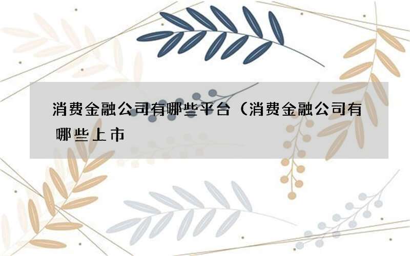 消费金融公司有哪些平台（消费金融公司有哪些上市