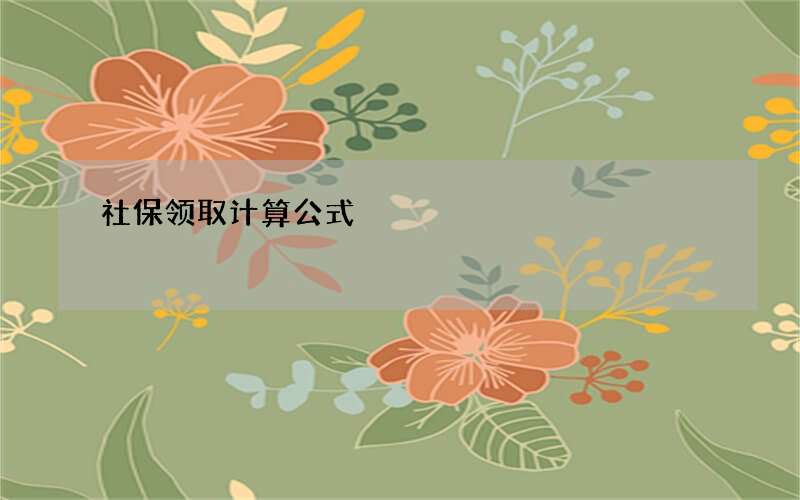 社保领取计算公式