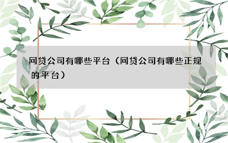 网贷公司有哪些平台（网贷公司有哪些正规的平台）