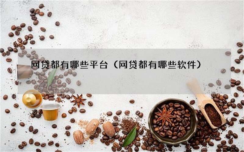 网贷都有哪些平台（网贷都有哪些软件）