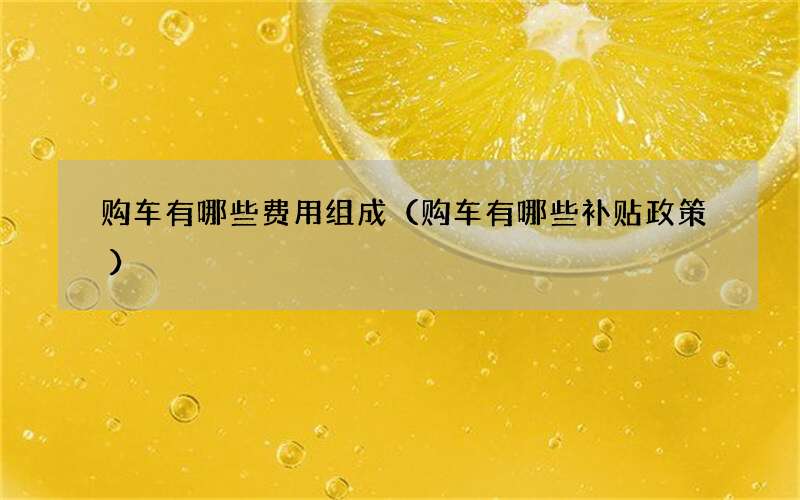 购车有哪些费用组成（购车有哪些补贴政策）
