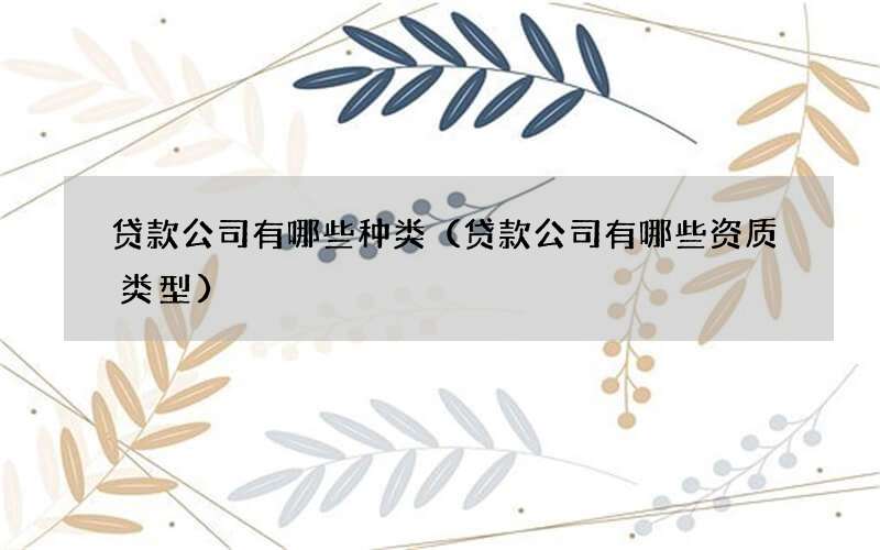 贷款公司有哪些种类（贷款公司有哪些资质类型）