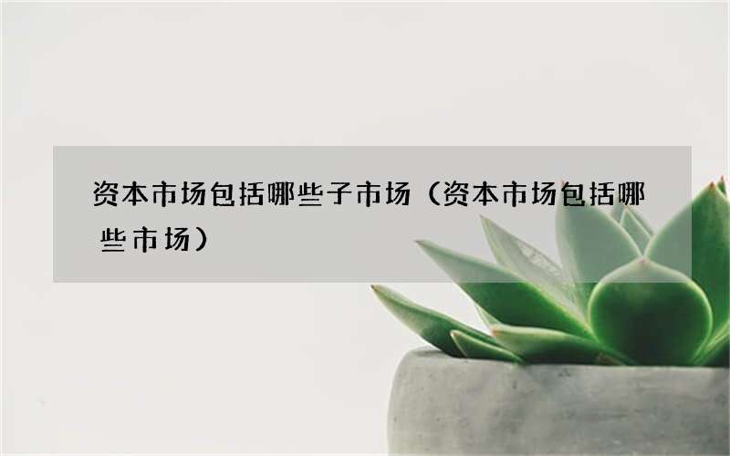 资本市场包括哪些子市场（资本市场包括哪些市场）