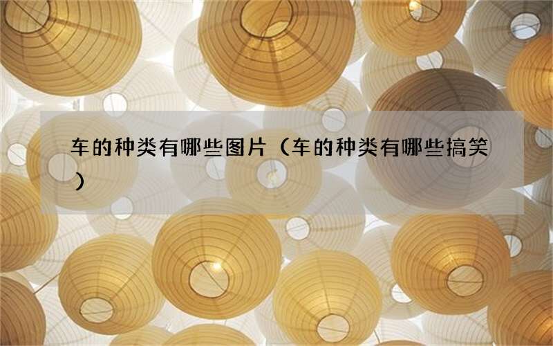 车的种类有哪些图片（车的种类有哪些搞笑）
