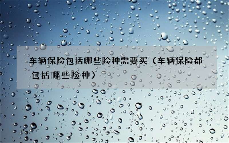 车辆保险包括哪些险种需要买（车辆保险都包括哪些险种）