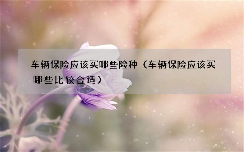 车辆保险应该买哪些险种（车辆保险应该买哪些比较合适）