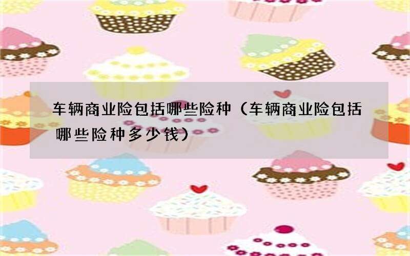 车辆商业险包括哪些险种（车辆商业险包括哪些险种多少钱）