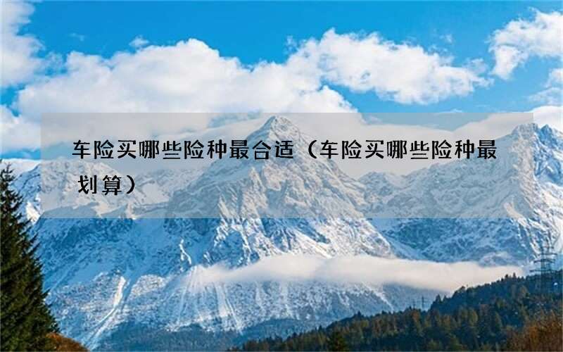 车险买哪些险种最合适（车险买哪些险种最划算）