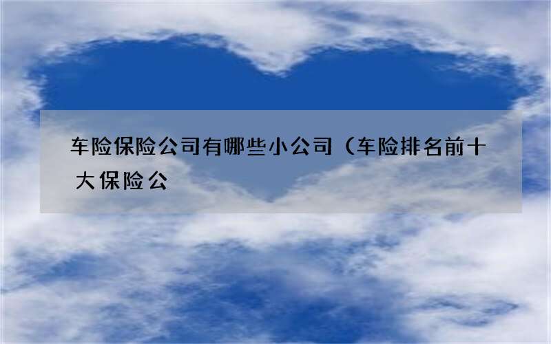 车险保险公司有哪些小公司（车险排名前十大保险公