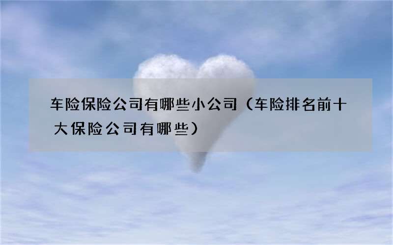车险保险公司有哪些小公司（车险排名前十大保险公司有哪些）