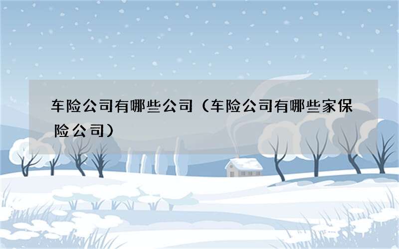 车险公司有哪些公司（车险公司有哪些家保险公司）