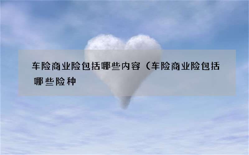 车险商业险包括哪些内容（车险商业险包括哪些险种