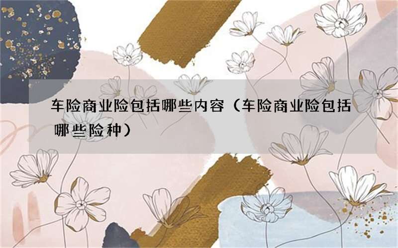 车险商业险包括哪些内容（车险商业险包括哪些险种）